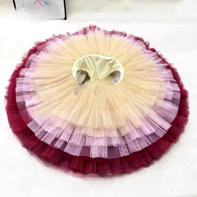 Don Quixote Pas De Deux