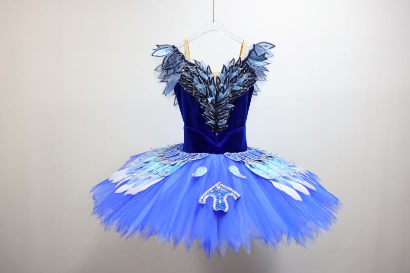 Florine and the Blue Bird Dancewear by Patricia Florine and the Blue Bird Dancewear by Patricia