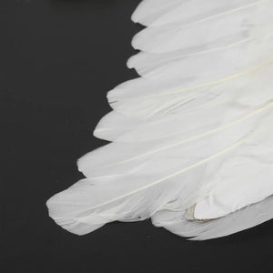 Angel Wings - Dancewear by Patricia