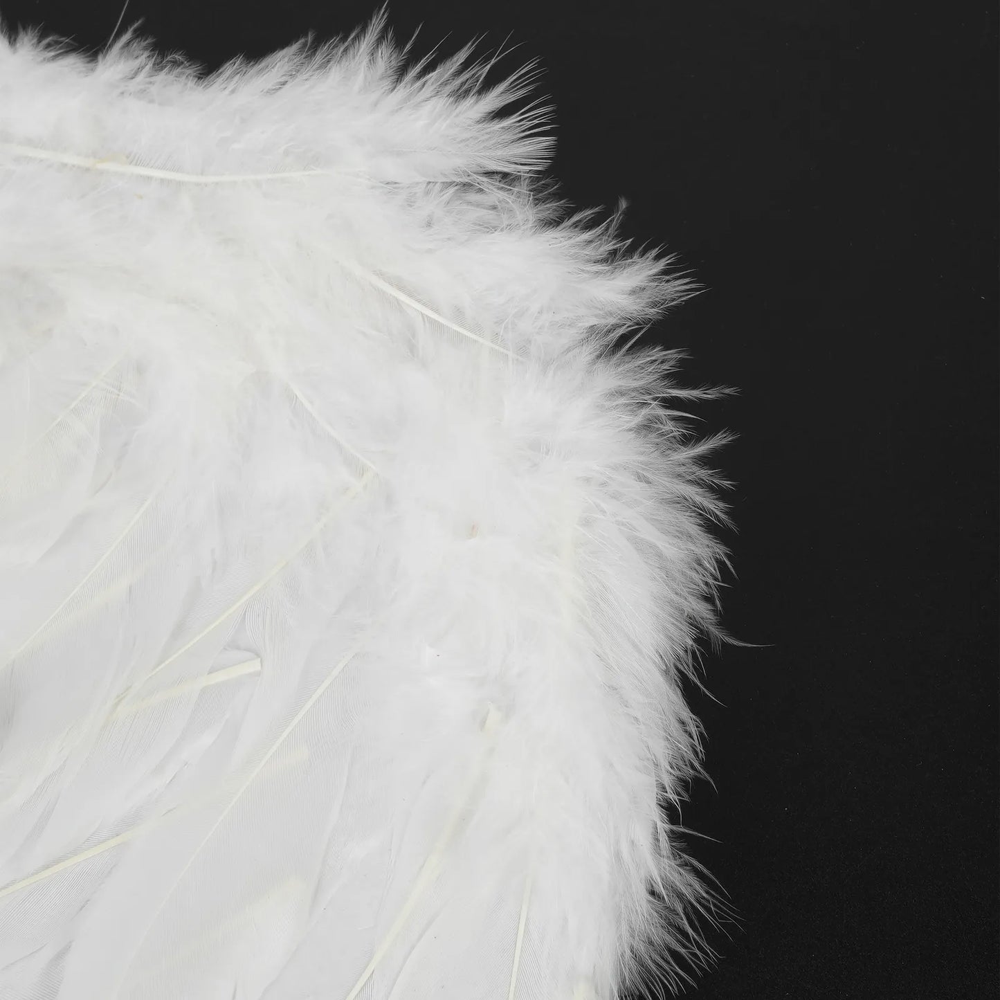 Angel Wings - Dancewear by Patricia