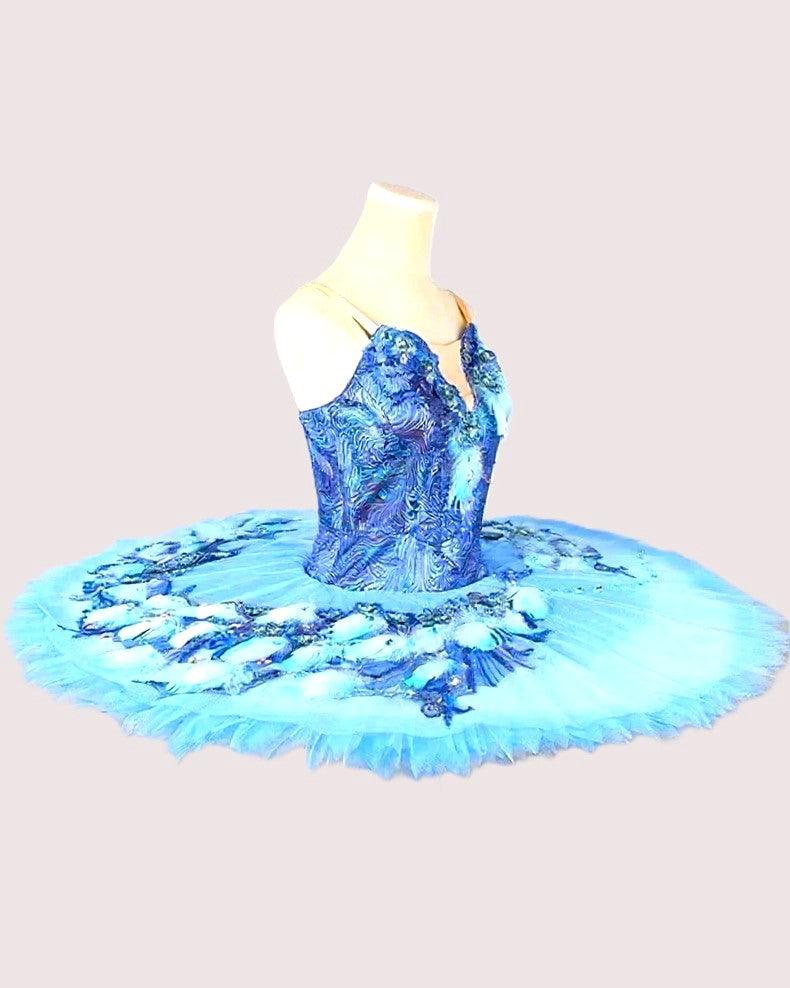 Pas de Deux and Coda from the Blue Bird