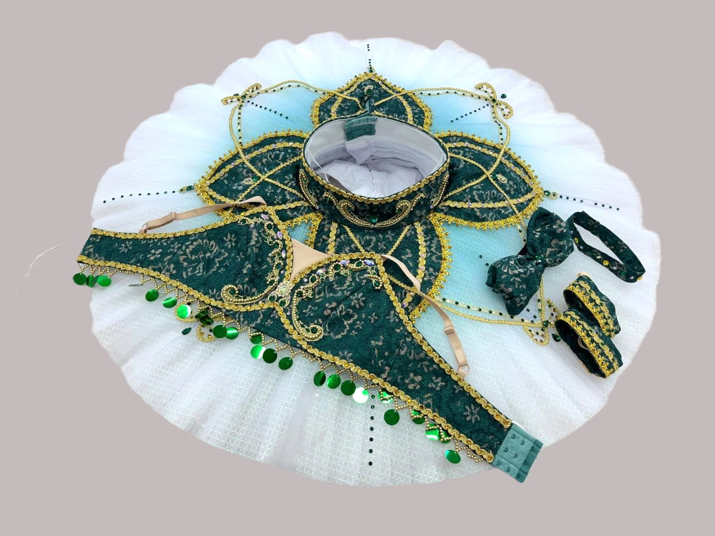 The Three Odalsiques professional YAGP Tutu