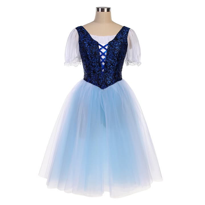 Variation in Blue - Dancewear by Patricia