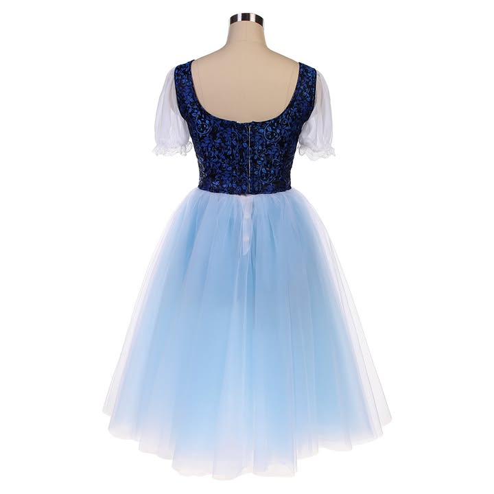 Variation in Blue - Dancewear by Patricia