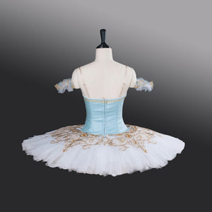 Cinderella Dream - Dancewear by Patricia