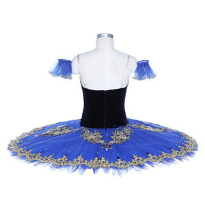 Aspicia Variation - Dancewear by Patricia