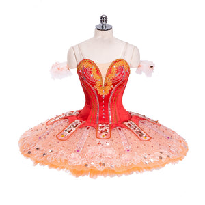 The Vision - Corps de Ballet - Dancewear by Patricia