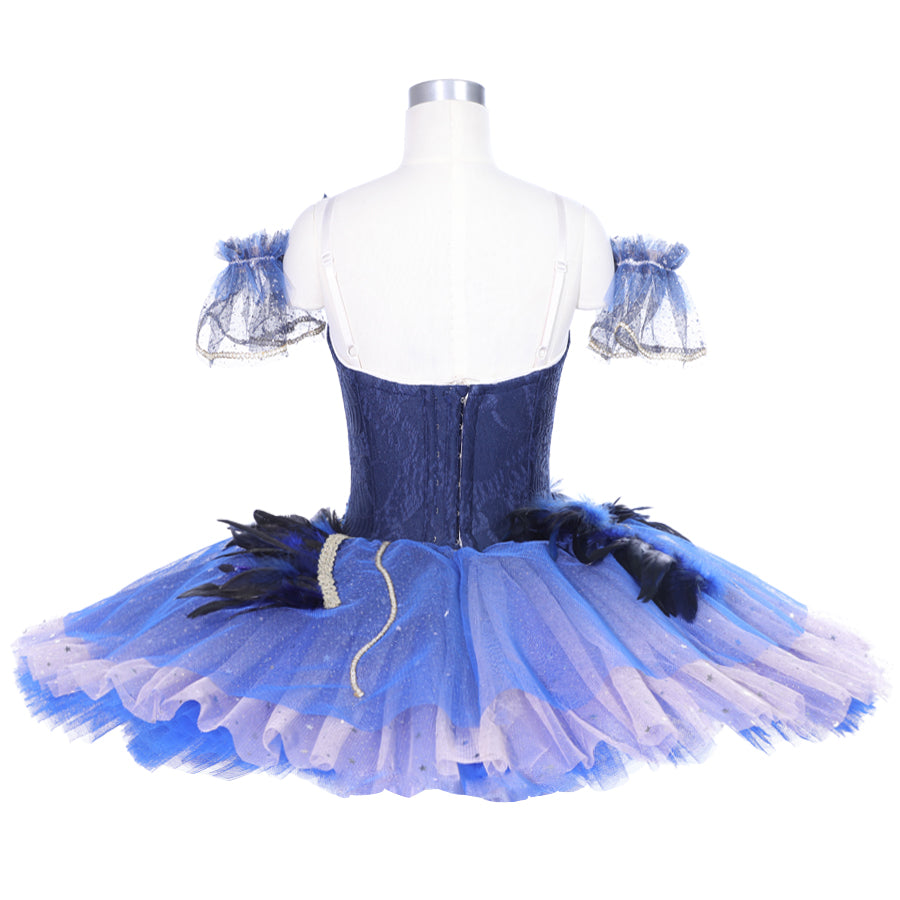 Variation from Blue Bird - Dancewear by Patricia