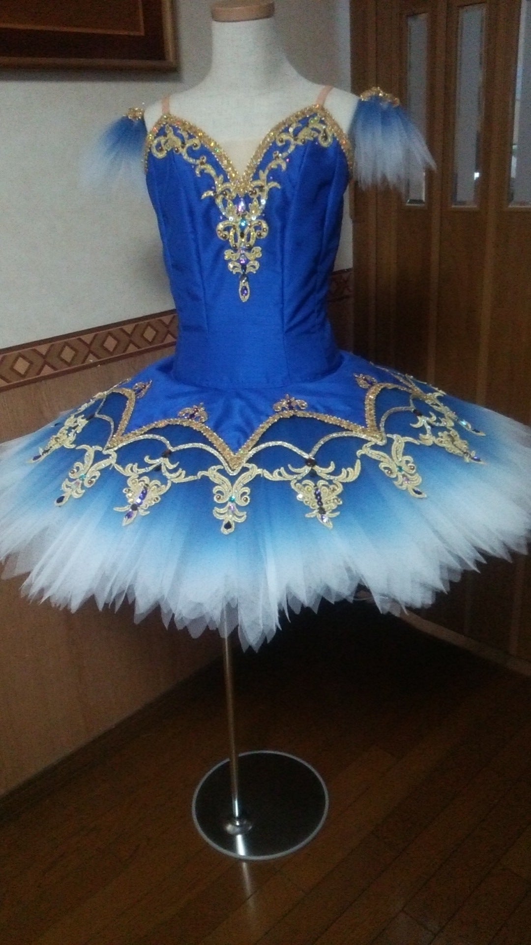 Blue Bird Variations - Dancewear by Patricia