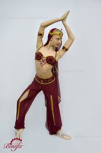 Stage Ballet Costume P1514 - Dancewear by Patricia