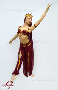 Stage Ballet Costume P1514 - Dancewear by Patricia